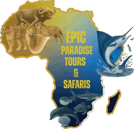 Epic Paradise Tours & Safaris logo